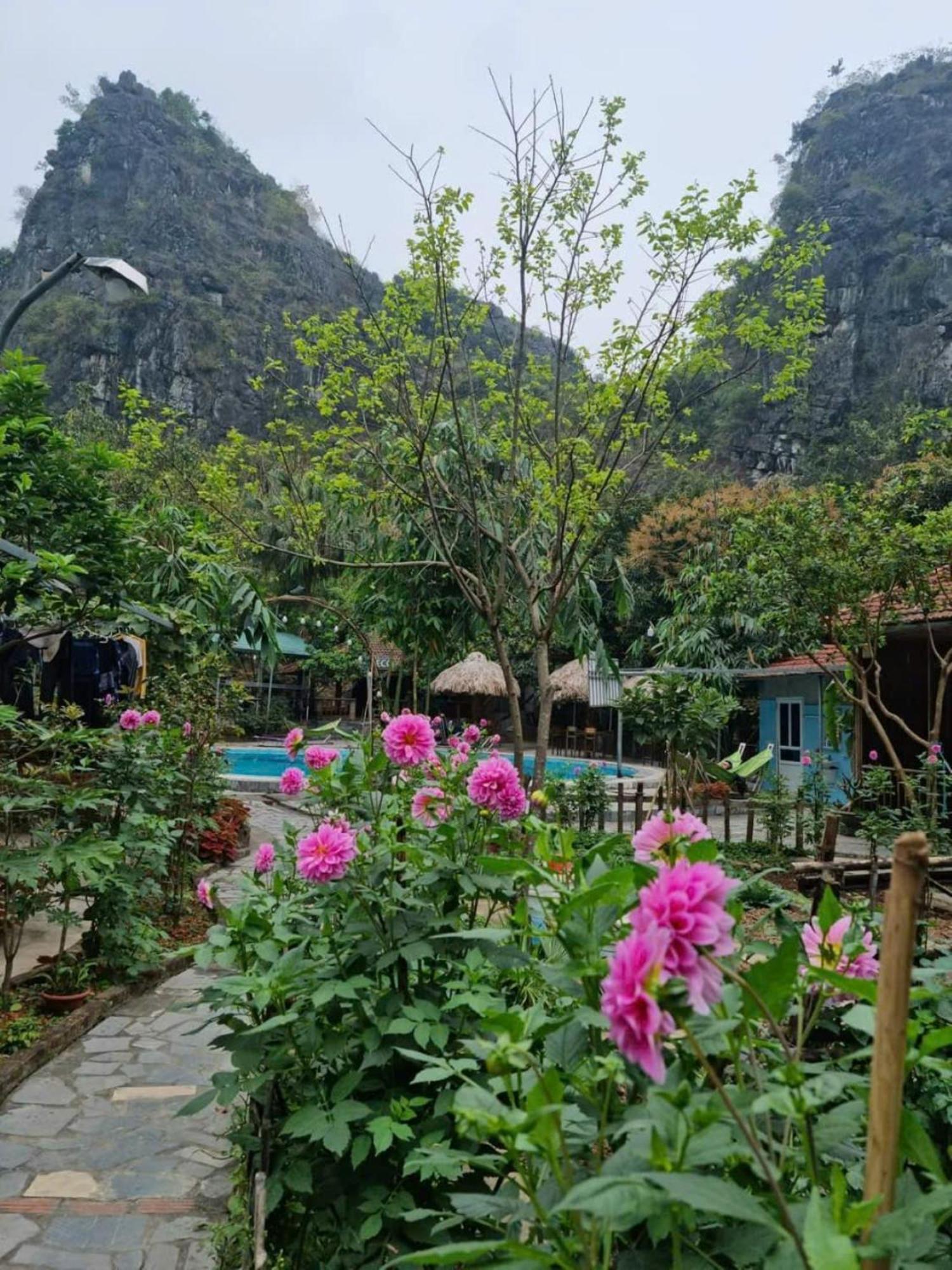 Hoalu Backpacker Homestay Ninh Binh Exterior foto