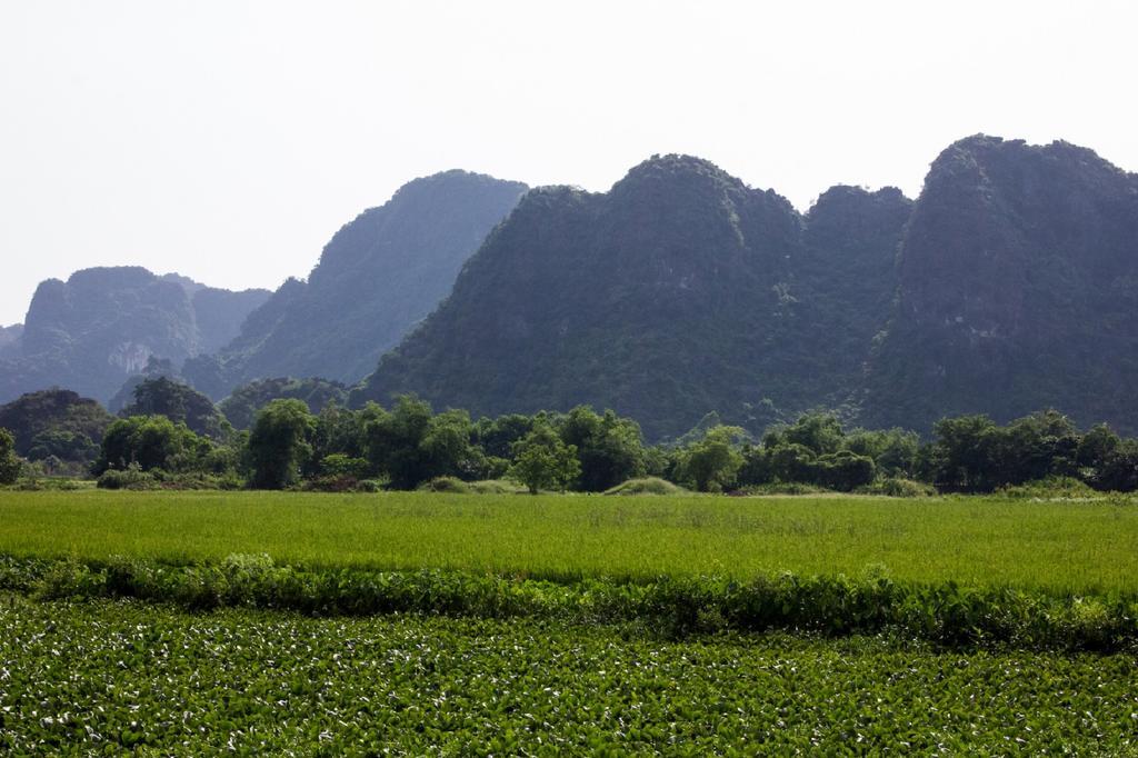 Hoalu Backpacker Homestay Ninh Binh Exterior foto